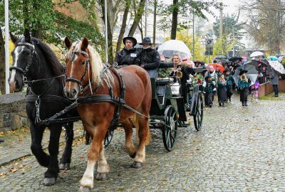 Gelenauer Carnevalsverein will Partyszene im Ort langfristig beleben - Das neue Prinzenpaar fuhr in einer Kutsche vor. Foto: Andreas Bauer