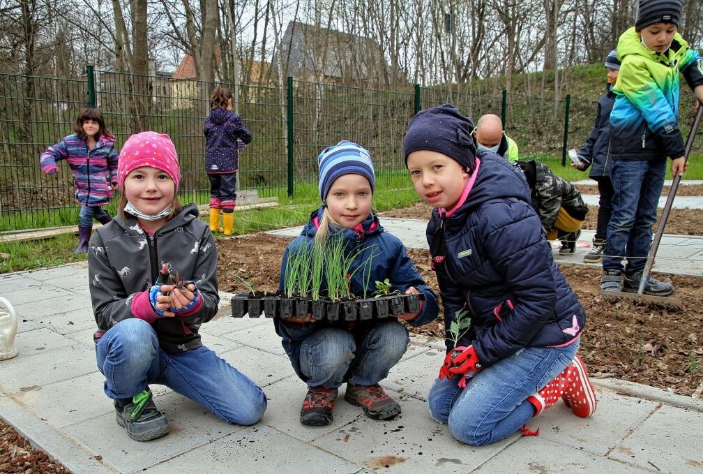 "GemüseAckerdemie" startet in Claußnitz - Foto: Andrea Funke