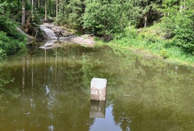 Gewässer spielen in Wäldern eine wichtige Rolle - Der Neuheider Teich im Revier Schönheide ist saniert worden. Foto: Ralf Wendland