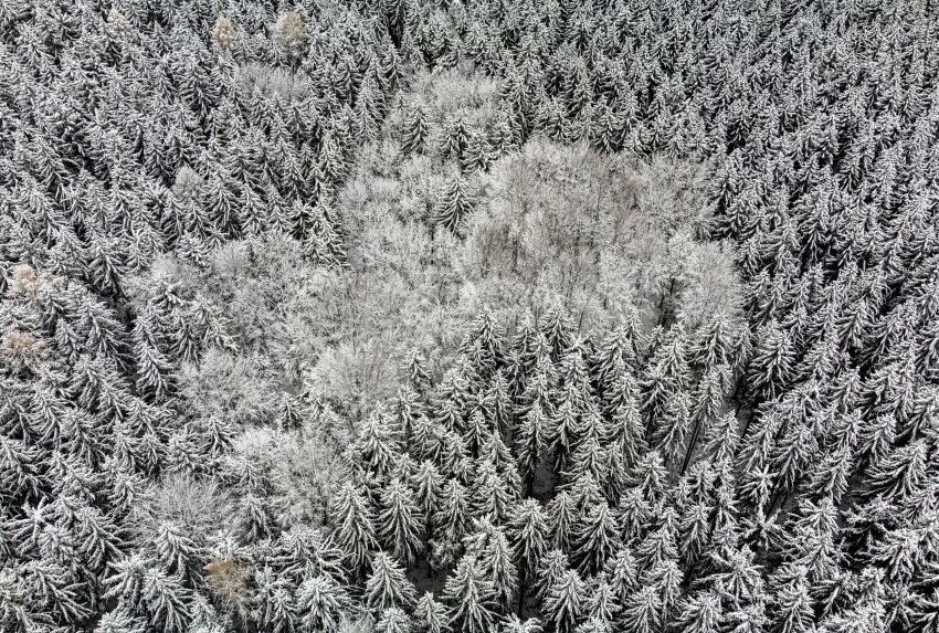 Gibt es in diesem Jahr "Weiße Weihnachten" im Erzgebirge? -  Annaberg-Buchholz in einem weißen Kleid eingehüllt. Foto: Bernd März