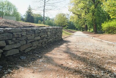 Glauchauer Schlosspark: Wegebau dauert bis Ende Juli - Ein Baum wird durch die neue Mauer geschützt. Foto: Frenzel