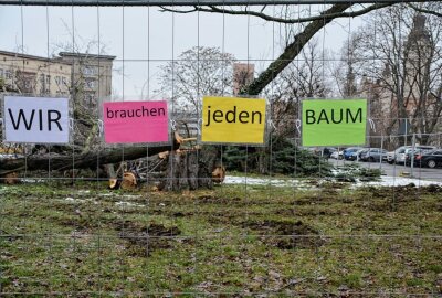 Globaler Klimastreik in Leipzig - In Leipzig wird heute gestreikt. Foto: Anke Brod