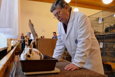 Grießbacher Kaninchenzüchter hoffen dank Ausstellung auf Zuwachs - Vom Preisrichter werden die Tiere auch gewogen. Foto: Andreas Bauer