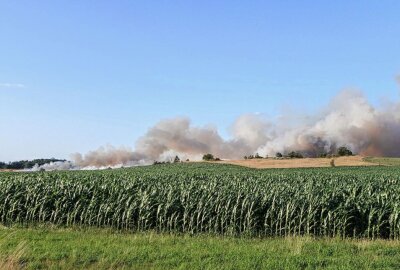 Großbrand in Sachsen: Feld steht in Flammen - Starke Rauchwolke über dem Feld. Foto: Sören Müller