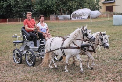Große Leistungsschau in Röhrsdorf am Sonntag - Am Sonntag findet die Ponyleistungsschau statt. Foto: Toni Söll