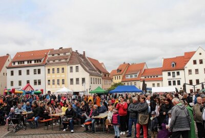 Großer Andrang in Freiberg: 300-jähriges Postmeilensäulen-Jubiläum gefeiert - Viele Zuschauer an der Bühne des Freiberger Untermarkts. Foto: Renate Fischer