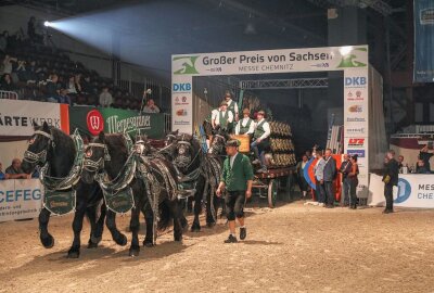Großer Preis von Sachsen: Starke Pferde und spannender Sport - Der Große Preis von Sachsen steht wieder vor der Tür. Foto: Andreas Pantel