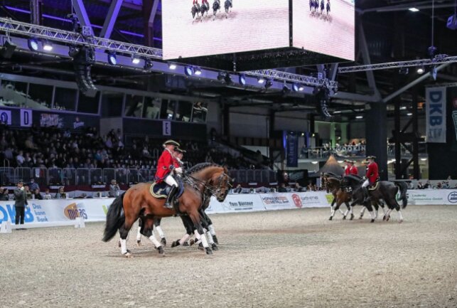 Großer Preis von Sachsen: Starke Pferde und spannender Sport - Der Große Preis von Sachsen steht wieder vor der Tür. Foto: Andreas Pantel