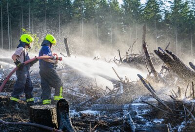 Ein Waldbrand ist am Freitag im Erzgebirge ausgebrochen. Die Feuerwehr war mit 120 Mann im Einsatz. Foto: Bernd März