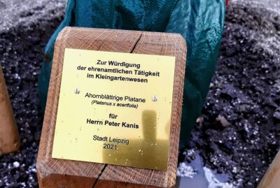 Grüne Lunge Leipzigs: Kleingärtner für Engagement ausgezeichnet - Das Schild am neuen Patenbaum für Peter Kanis. Foto: Anke Brod