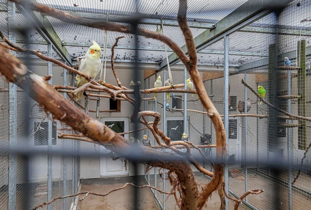 Grünfelder Park lockt Besucher an - Die Vogelvoliere im Grünfelder Park ist auch an Ostern ein beliebtes Ausflugsziel. Foto: Kretschel