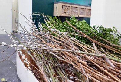 Grünhainichener Traditionsunternehmen beschreitet neue Wege - Um für die Osterhasen eine tolle Kulisse zu basteln, reichen schon einfache "Zutaten" wie diese Zweige. Foto: Andreas Bauer