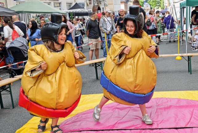 Gute Stimmung auf dem Falkensteiner Straßenfest am Samstag - Gut gepolstert waren die Kandidaten beim Sumo-Ringen der Handball-Abteilung des TV Ellefeld. Foto: Thomas Voigt