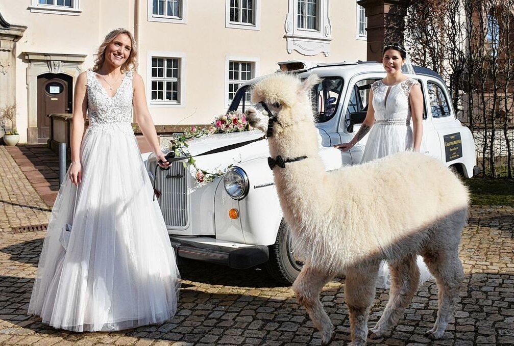 Heiraten an historischen Orten - Hochzeitsfotoshooting mit niedlichen Alpakas. Foto: Maik Bohn