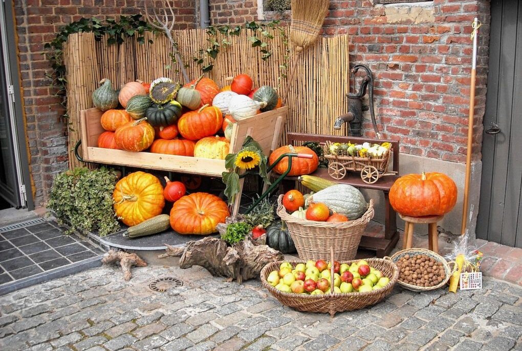 Herbst- und Erntefest im Botanischen Garten - Chemnitz: Herbst- und Erntefest im Botanischen Garten. Foto: pixabay