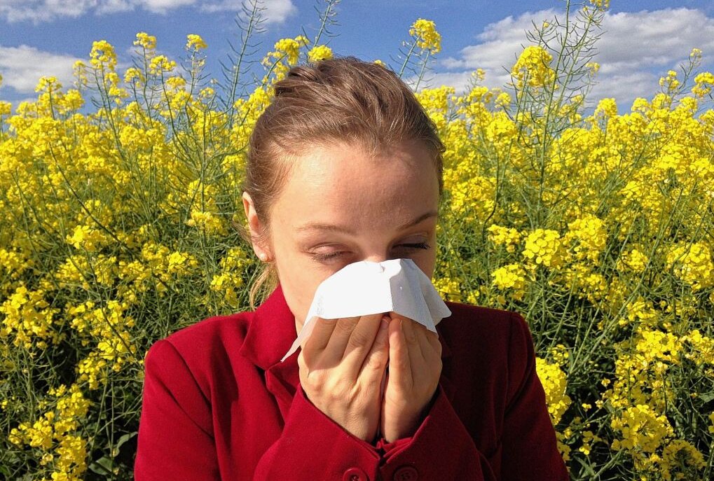 Heuschnupfenzeit: Alltagstipps für Allergiker im Umgang mit Pollen - Symbolbild. Foto: Pixabay