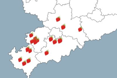 In Chemnitz und Umgebung gibt es viele Erdbeerfelder zum selber pflücken. Grafik: Blick.de
