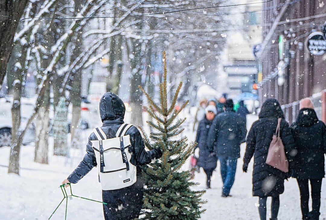 Hier können Sachsen ihre Weihnachtsbäume selbst schlagen - Weihnachtsbaum selber schlagen: beliebte Veranstaltungen im sächsischen Staatswald. Symbolbild. Foto: Pixabay
