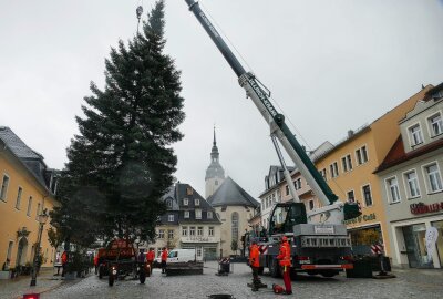 Hier steht der höchste Weihnachtsbaum im Erzgebirge - Der Zschopauer Baum lag mit seiner Höhe zwar nur im Mittelfeld. Trotzdem hat sich das Aufstellen gelohnt, denn vor allem im Dunkeln sorgt er für herrliches Flair. Foto: Andreas Bauer