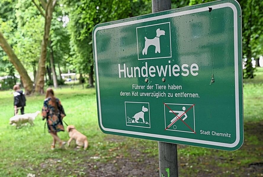 Hier toben Hunde vor Freude und Halter vor Wut -  Ungepflegt und selten umzäunt - ist die Kritik berechtigt? Foto: Andreas Seidel