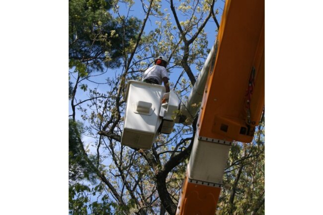 High und in luftiger Höhe: Feuerwehr musste Mann befreien - Der 44-Jährige führte unter Drogeneinfluss illegale Baumarbeiten durch. Symbolfoto: Pixabay