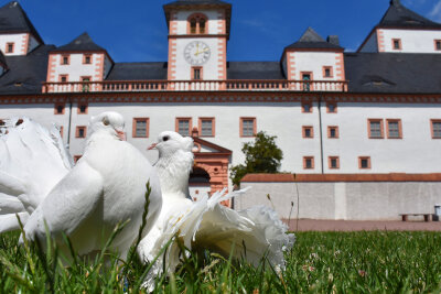 Schöne Atmosphäre beim Schloss Augustusburg. Foto: Maik Bohn 