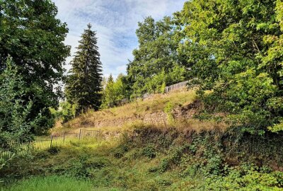 Historischer Seminargarten von Zschopau soll bald neu erblühen - Bis zum vergangenen Jahr war der Seminargarten dem Verfall überlassen. Foto: Andreas Bauer