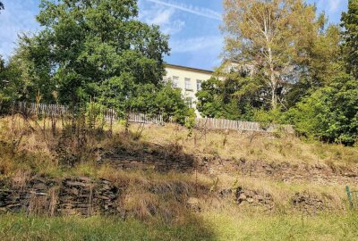 Historischer Seminargarten von Zschopau soll bald neu erblühen - Viele hatten den um 1870 entstandenen Garten fast schon vergessen. Foto: Andreas Bauer