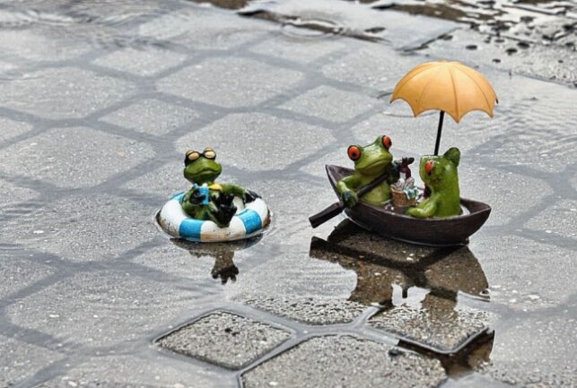 "Endlich mal wieder Regen, da machen wir eine Paddeltour". Foto: Andrea Funke