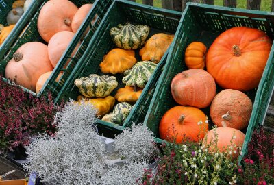 Hochbetrieb zum Reuther Herbstmarkt - Stefanie Zeidler aus Pfaffengrün hat viele Kürbisse mitgebracht. Foto: Simone Zeh