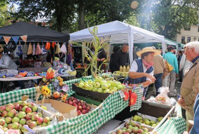 Hochbetrieb zum Reuther Herbstmarkt - Alles aus dem Vogtland gab es auf dem Markt. Foto: Simone Zeh