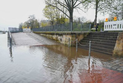Hochwasseralarm: Elbe überschwemmt größere Gebiete in Sachsen - In der Nacht von Sonntag auf Montag stieg der Elbpegel in Sachsen auf über 4 Meter. Foto: xcitepress/Finn Becker