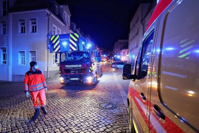 Hohenstein-Ernstthal: Fehlalarm löst Feuerwehreinsatz aus - Am Donnerstagabend löste ein Fehlalarm in Hohenstein-Ernstthal einen Feuerwehreinsatz aus. Foto: Andreas Kretschel