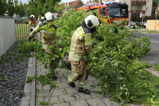 Hoher Sachschaden: DHL-Laster bleibt samt Anhänger an Baum hängen - Foto: Roland Halkasch