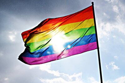 Nicht nur bei den Menschen gibt es die gleichgeschlechtliche Liebe, auch im Tierreich ist Homosexualität weit verbreitet. Foto: pixabay