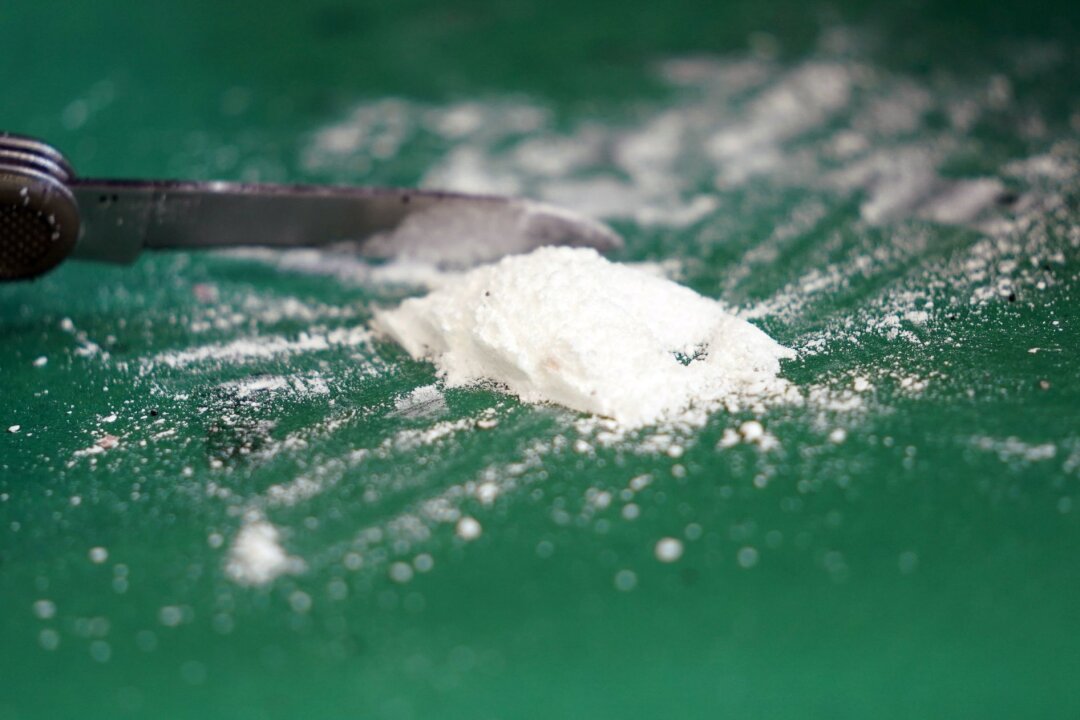Immer mehr Drogen im Hamburger Hafen sichergestellt - Die Menge des sichergestellten Kokains im Hamburger Hafen hat sich verdreifacht.