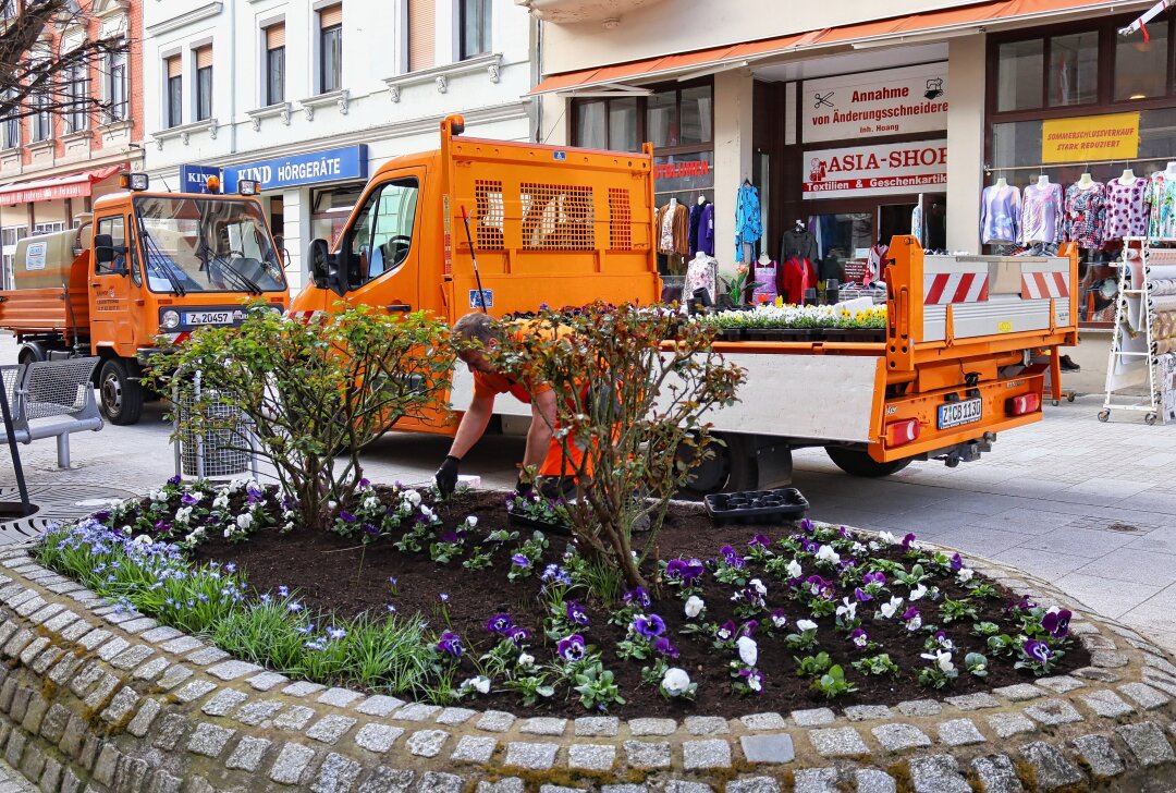 In Crimmitschau zieht der Frühling ein - Frühblüher werden eingepflanzt. Foto: Stadtverwaltung Crimmitschau