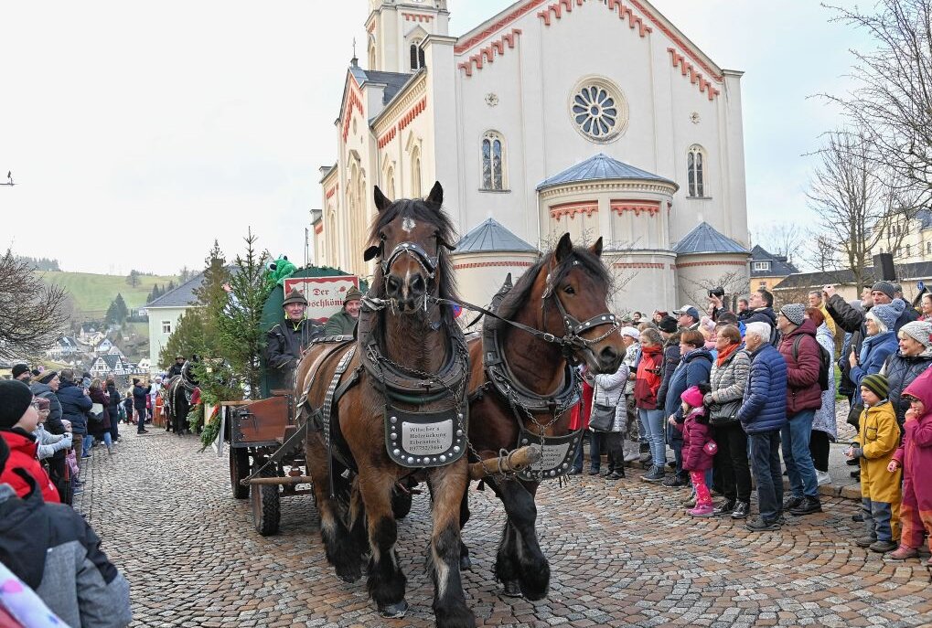 In Eibenstock sind Märchen lebendig geworden - Höhepunkt der Eibenstocker Märchenweihnacht war der Märchenumzug. Foto: Ramona Schwabe