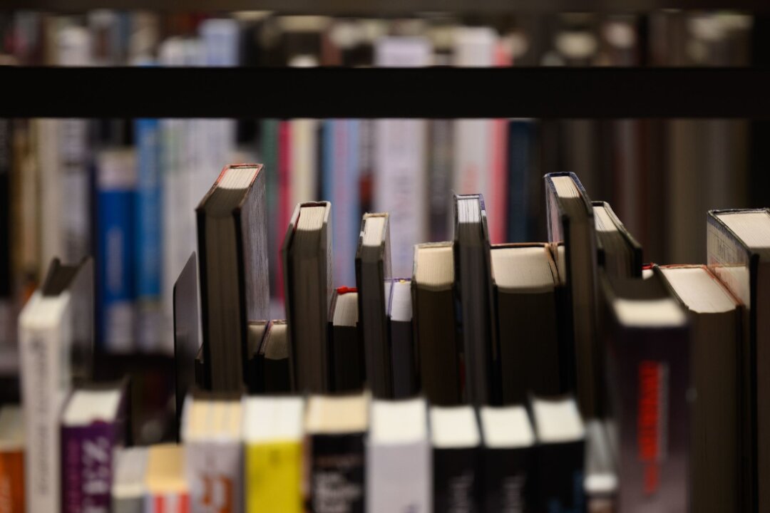 Innovationen gefragt: Bibliothekspreis 2024 ausgelobt - Bücher stehen in der Zentralbibliothek der Städtischen Bibliotheken im Kulturpalast in Regalen.