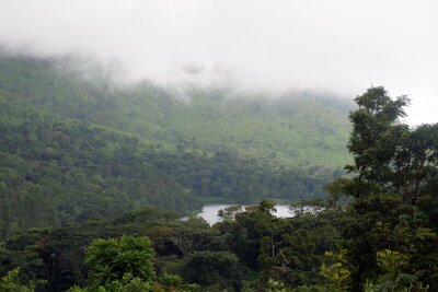 Ins "warme Herz Afrikas": Fünf Gründe für eine Malawi-Reise - Wolkenverhangen und saftig grün: Landschaft am Zomba Plateau.