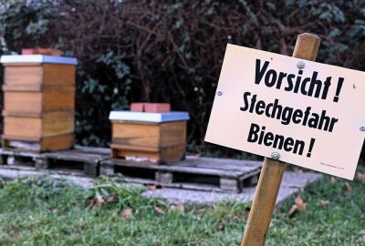 Insektenhotel für die firmeneigenen Bienen in Erlau - Bei Agraset wird seit mehreren Jahren geimkert. Foto: Andrea Funke