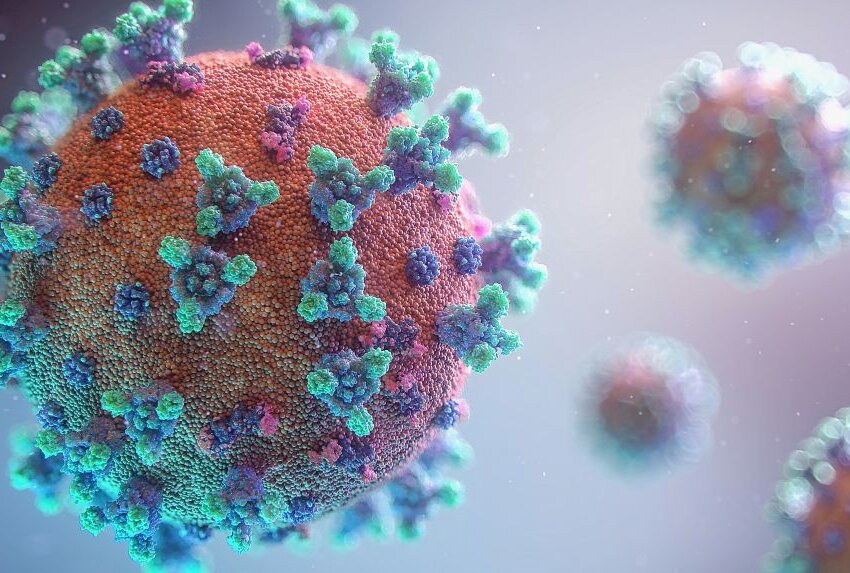 Inzidenz steigt an: Vogtländische Reisegruppe fängt sich Coronavirus ein - Eine Reisegruppe aus dem Vogtland hat sich das Coronavirus eingefangen. Foto: unsplash