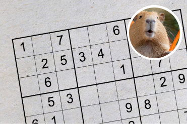 Jetzt Sudoku spielen! - 