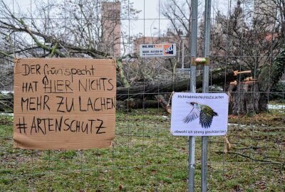 Kahlschlag am Wilhelm-Leuschner-Platz in Leipzig - Die erste Abholzung am Wilhelm-Leuschner-Platz Anfang 2021 und der darauf folgende NABU- Prostes.Foto: Anke Brod
