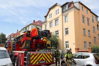 Katze verendet bei Wohnungsbrand - In Dresden kam es heute zu einem Wohnungsbrand. Foto: Roland Halkasch