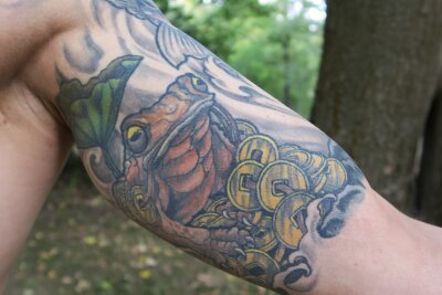 Kay (33) aus Chemnitz verewigt die japanische Kultur unter seiner Haut - Auf der Innenseite des linken Arms sieht man einen Frosch, der auf einem Münzberg sitzt. Dies ist ein Symbol für Glück und Wohlstand. 