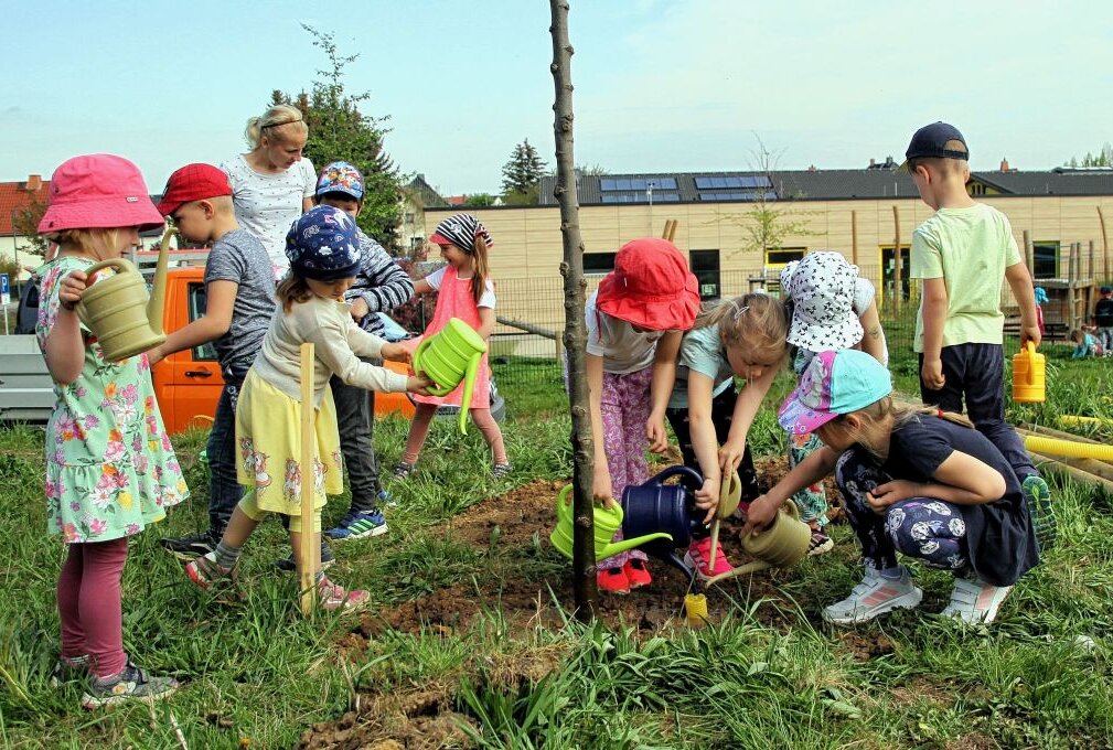Kinder werden Baumpaten in Penig - Foto: Andrea Funke