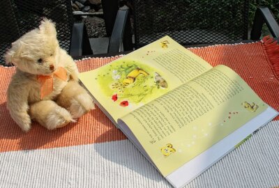 Kinderbuch: Kleiner Teddy sucht eine Mama - Der kleine Teddy erlebt Vieles auf seiner Suche. Foto: Andrea Funke
