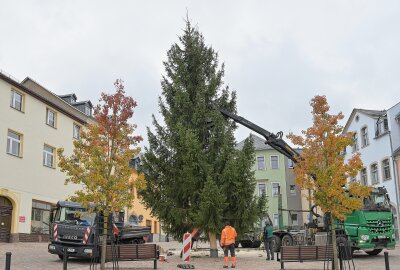 Kirchberger Weihnachtsmarkt ist soweit vorbereitet - Der Weihnachtsbaum von Kirchberg ist mit schwerer Technik aufgestellt worden. Foto: Ralf Wendland