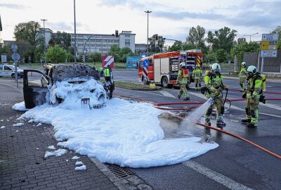 Kleinbus gerät während Fahrt in Brand - Der Kleinbus brannte vollständig aus. Foto: Roland Halkasch